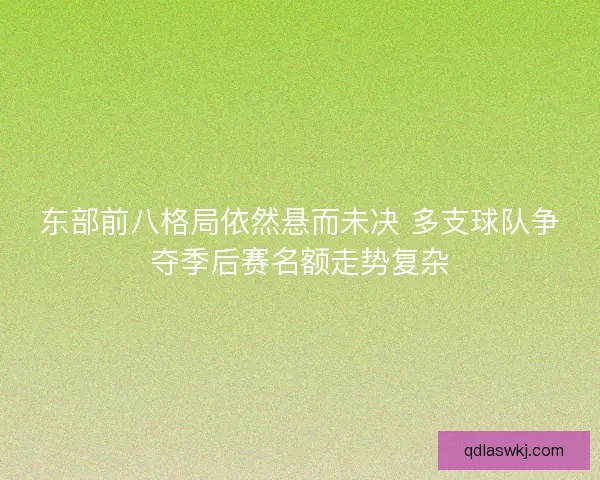 东部前八格局依然悬而未决 多支球队争夺季后赛名额走势复杂