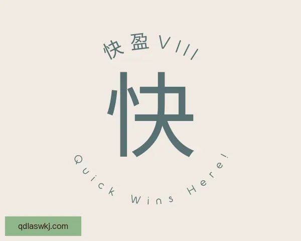 介绍快盈VIII